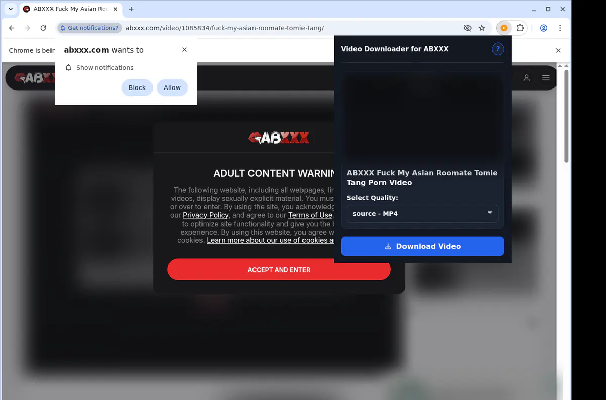 Abxxx Video Downloader browser extension screenshot 3